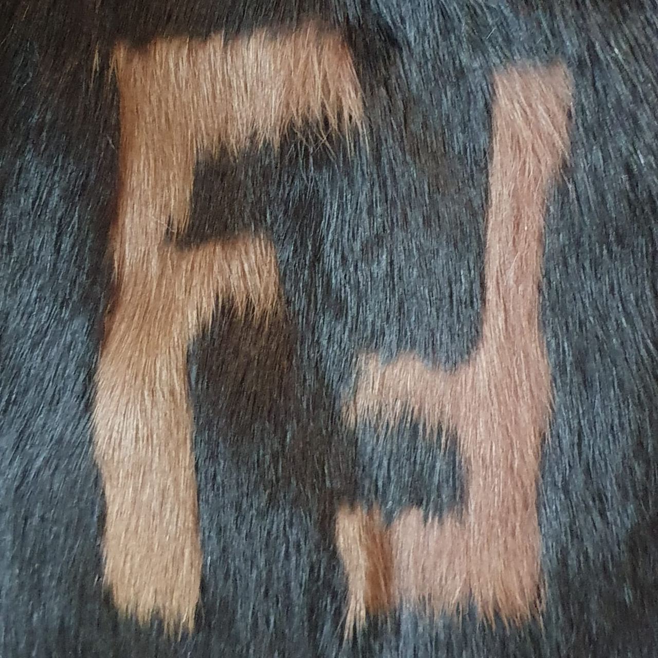 Fendi-Fur-Trimmed-Long-Coat-Bayan-Mont (2)